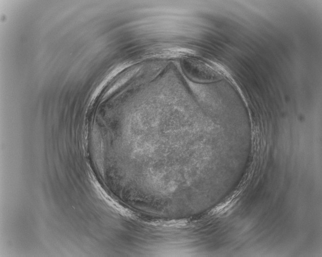 X0000057090851200509231648