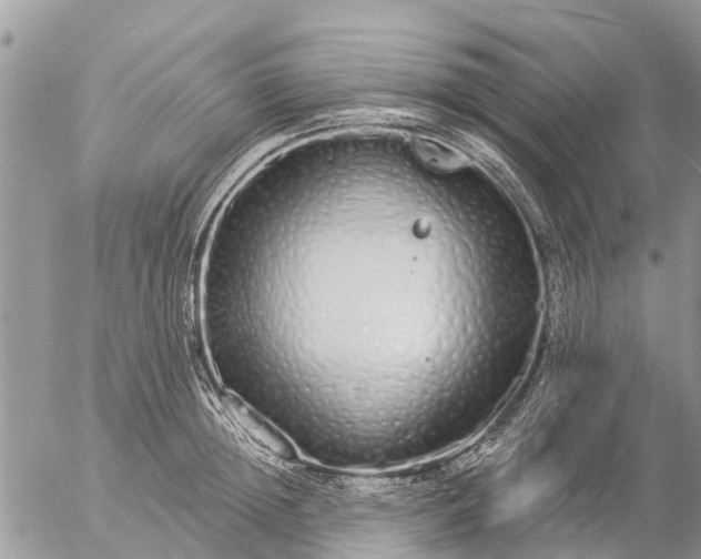 X0000057090852200509231648