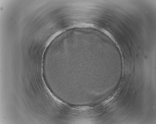 X0000057090853200509231648