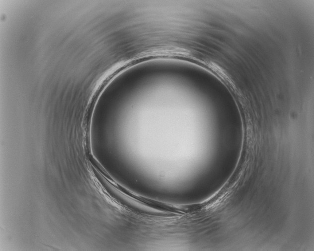 X0000057090854200509231648