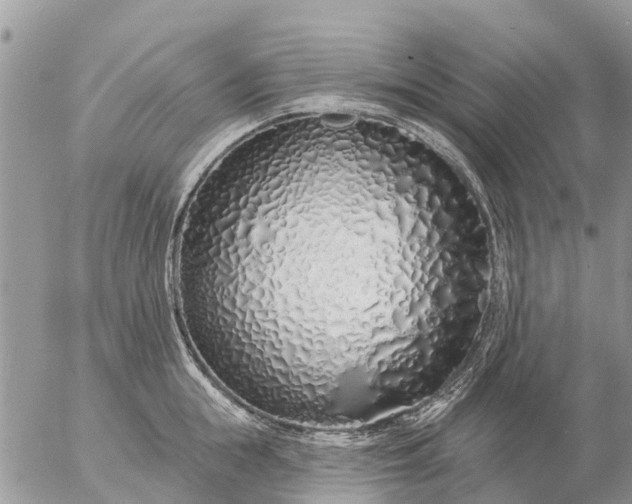 X0000057090855200509231648