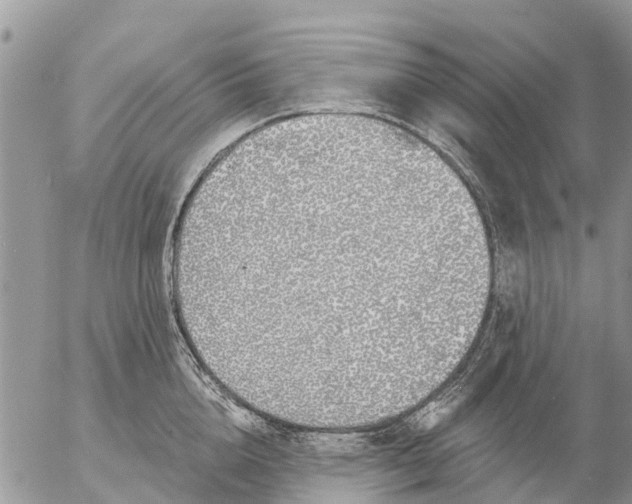 X0000057090856200509231648