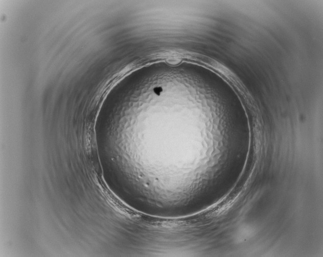 X0000057090857200509231648