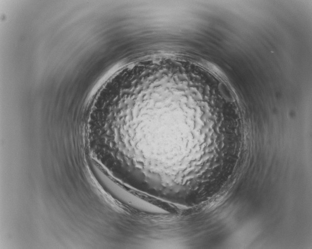 X0000057090859200509231648