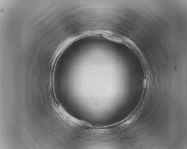 X0000057090860200509231648