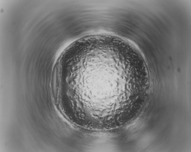 X0000057090863200509231648