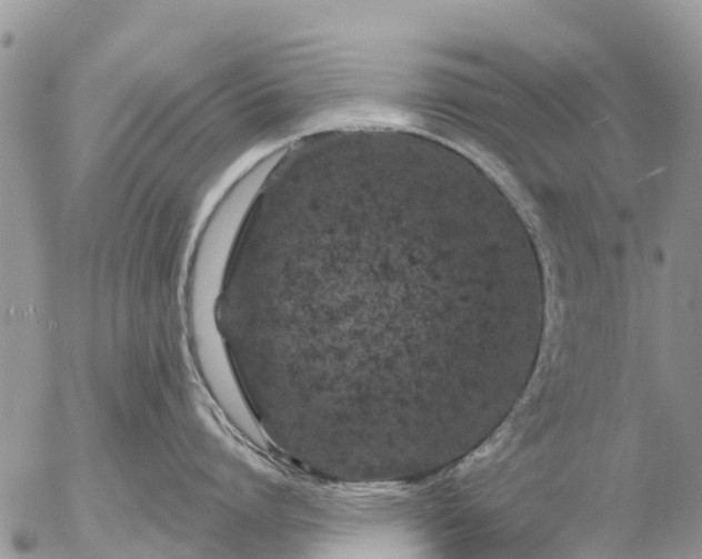 X0000057090864200509231648