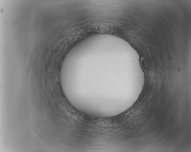 X0000057090865200509231647