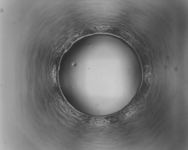 X0000057090866200509231647