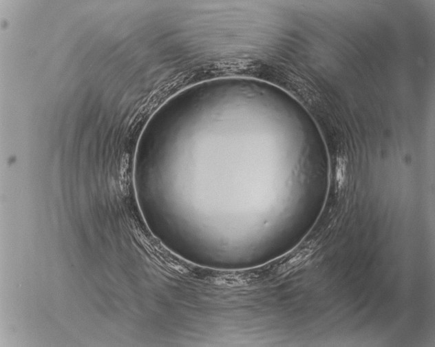 X0000057090867200509231647