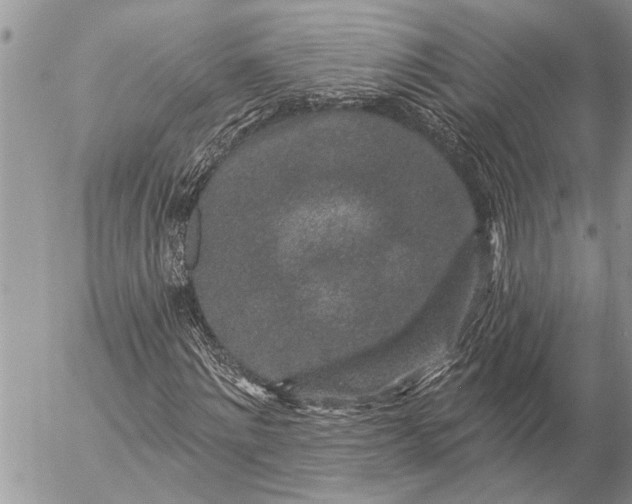 X0000057090868200509231647