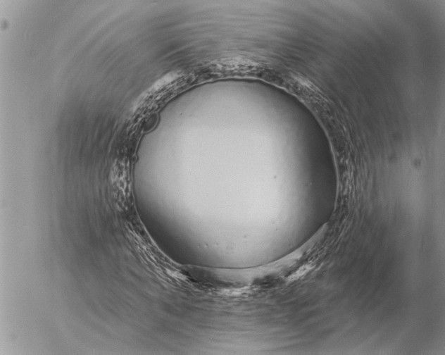 X0000057090870200509231647