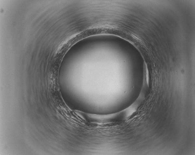 X0000057090872200509231647