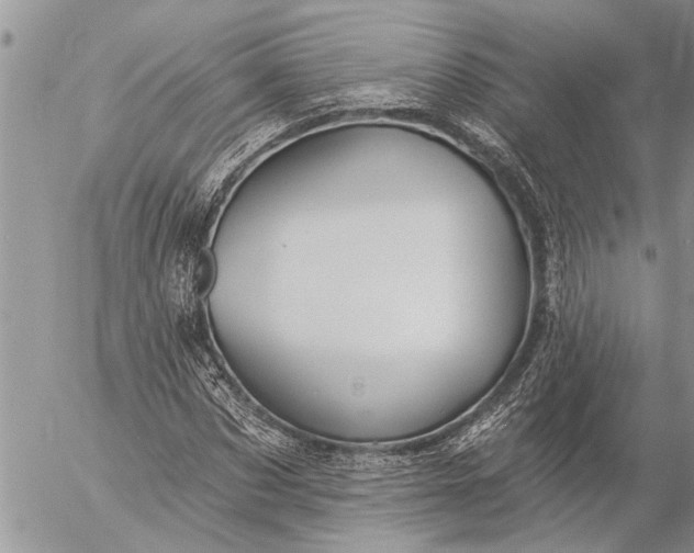 X0000057090873200509231647