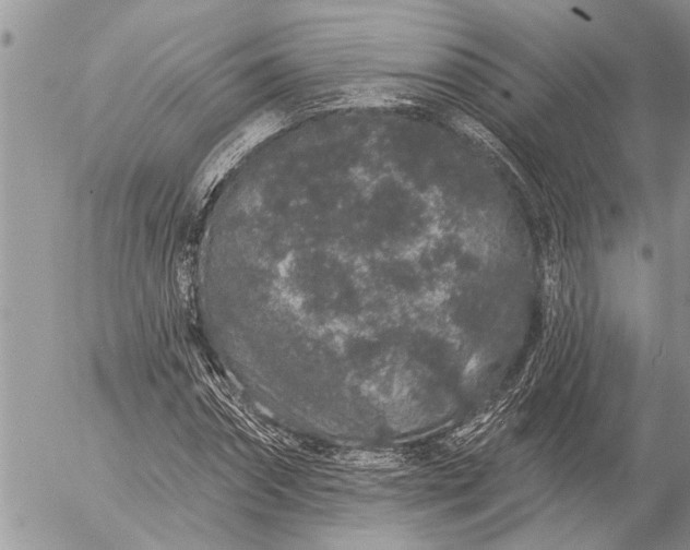 X0000057090874200509231647