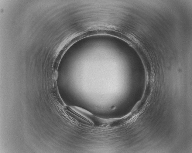 X0000057090877200509231647