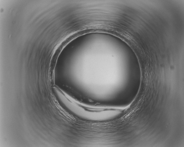 X0000057090880200509231647