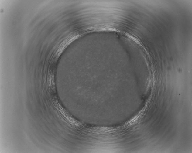 X0000057090881200509231647