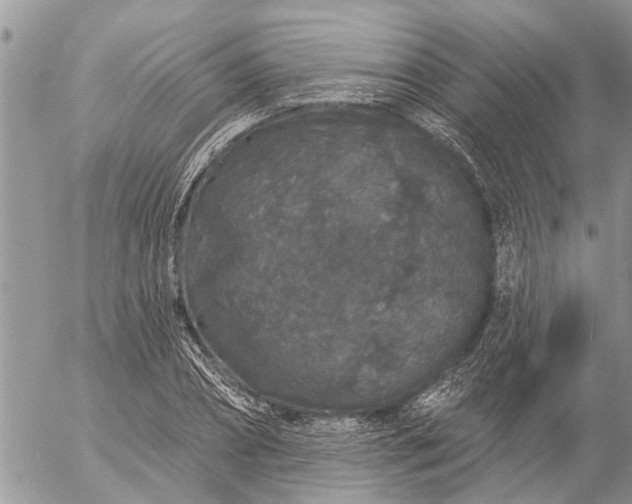 X0000057090882200509231647