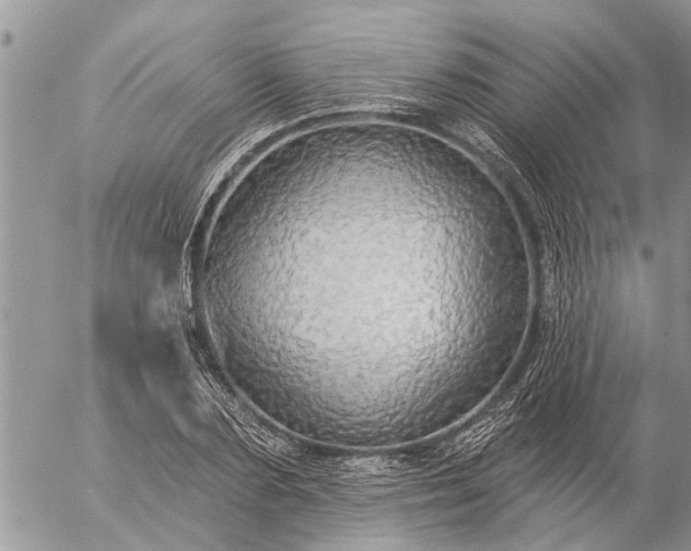 X0000057090883200509231647