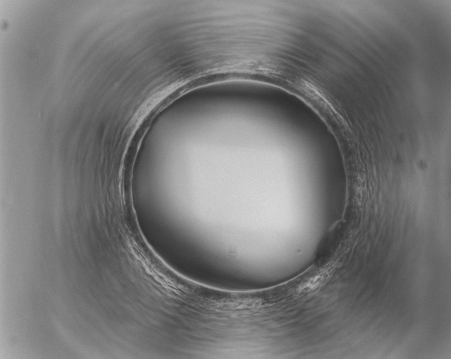 X0000057090884200509231647