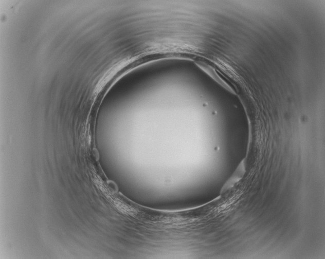 X0000057090885200509231647