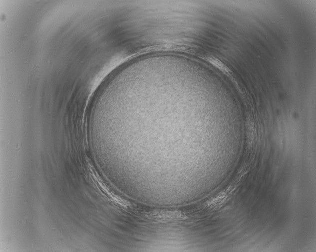 X0000057090886200509231647