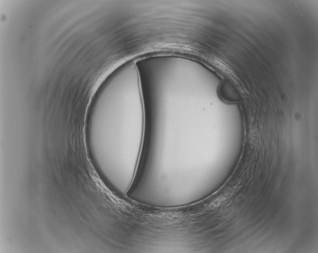 X0000057090888200509231647