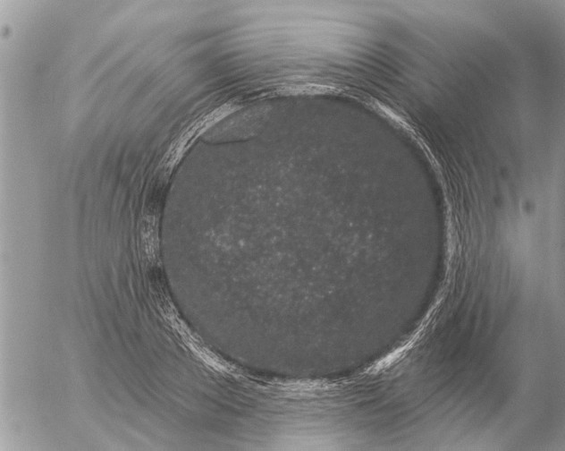 X0000057090889200509231647