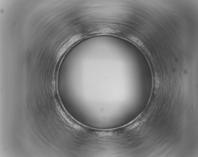 X0000057090890200509231647