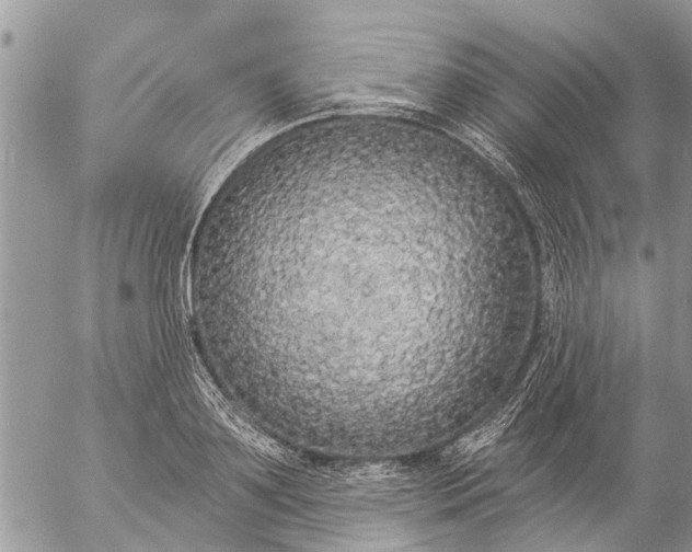 X0000057090891200509231647