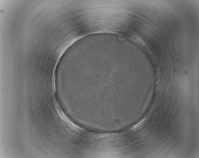 X0000057090892200509231647