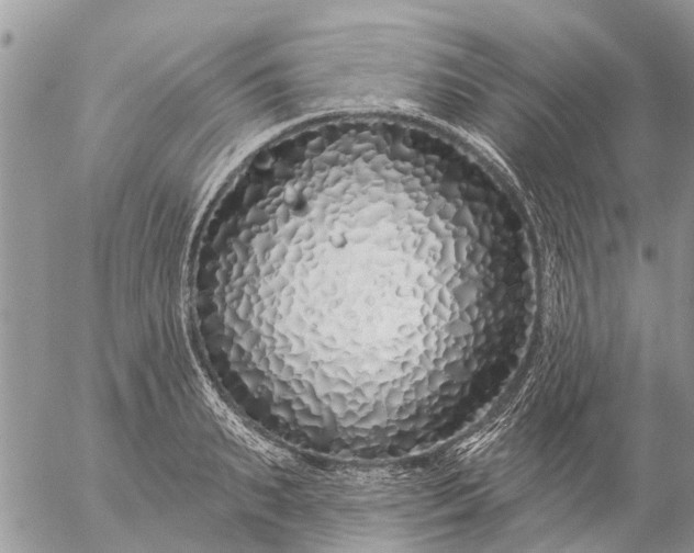 X0000057090895200509231647