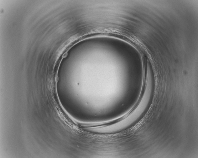 X0000057090896200509231647