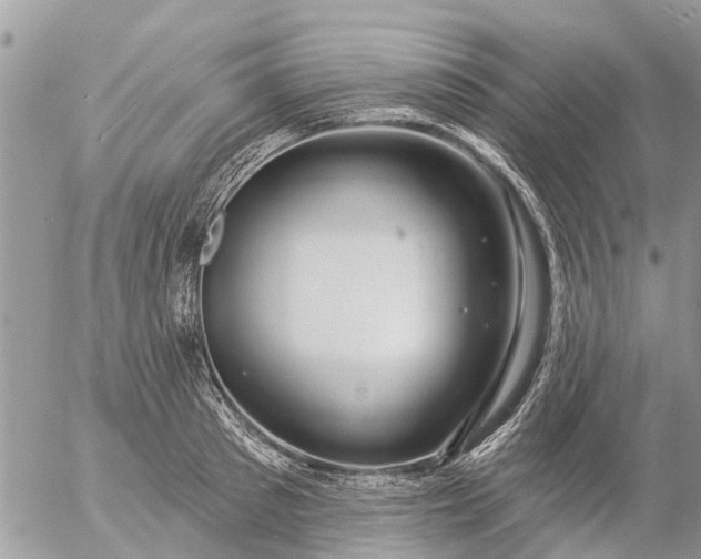 X0000057090897200509231647