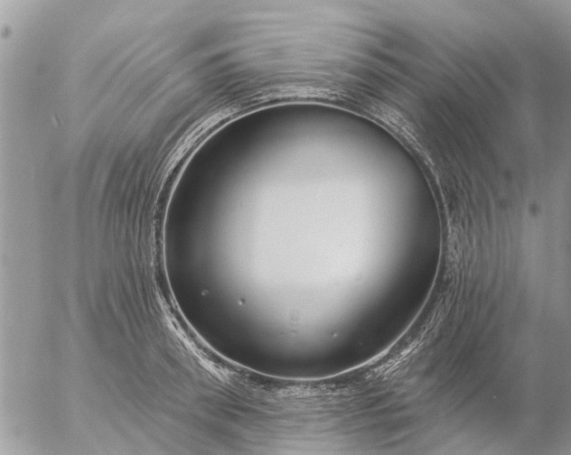 X0000057090898200509231647