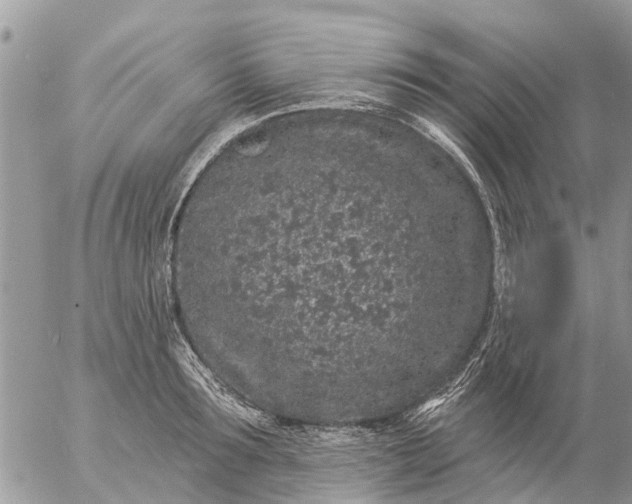 X0000057090899200509231647