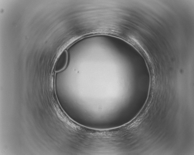 X0000057090900200509231647