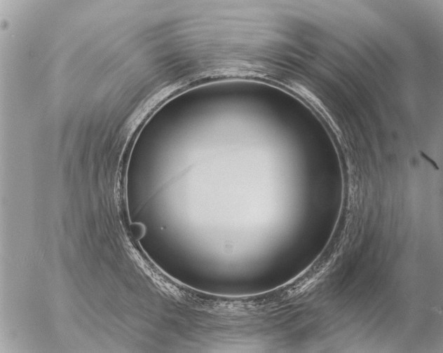 X0000057090901200509231647