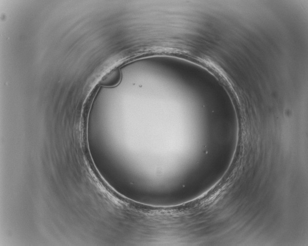 X0000057090902200509231647