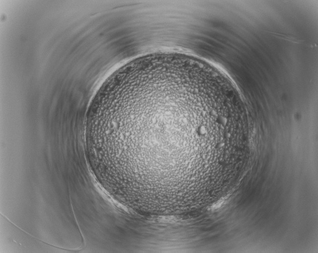 X0000057090903200509231647