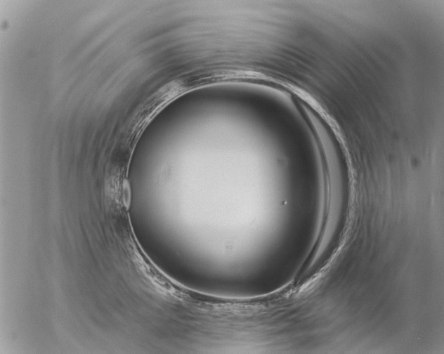 X0000057090905200509231646