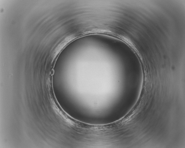 X0000057090906200509231646