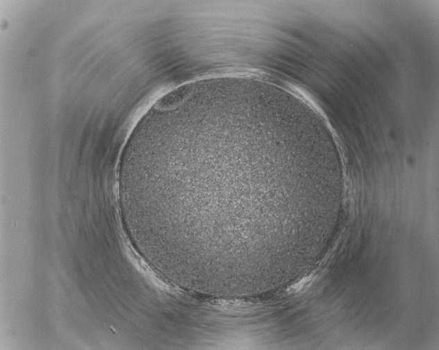 X0000057090907200509231646