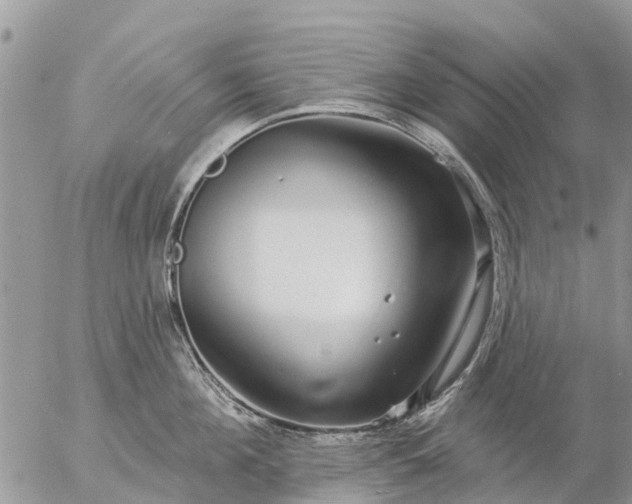 X0000057090908200509231646