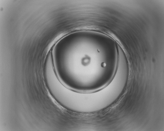 X0000057090909200509231646