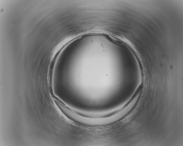 X0000057090910200509231646