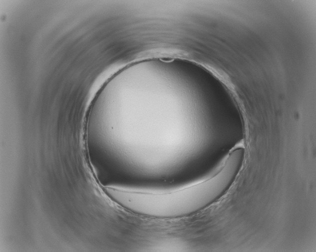 X0000057090912200509231646