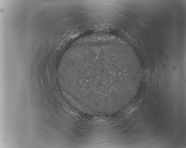 X0000057090913200509231646