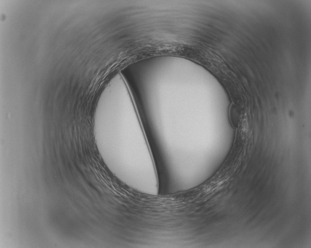 X0000057090916200509231646